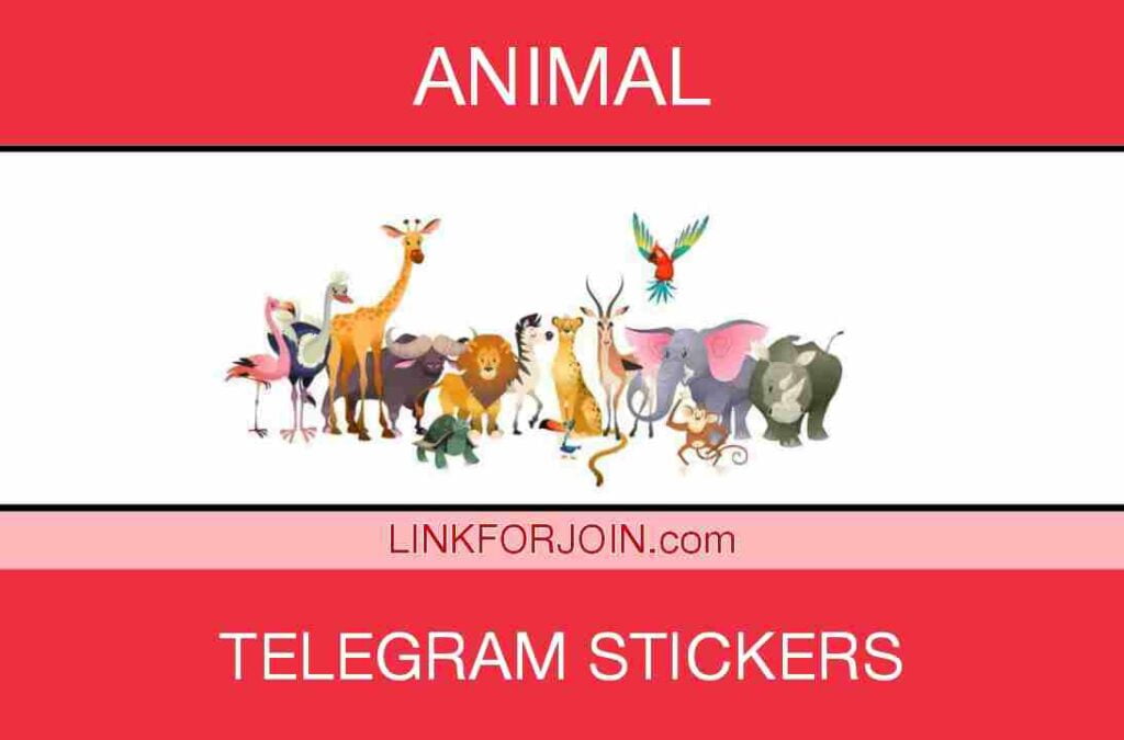 Animal Telegram Stickers