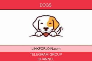 Dogs Telegram Group And Channel