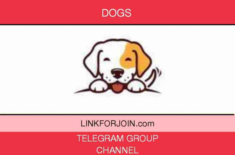 203+ Dogs Telegram Group & Channel Link List 2022