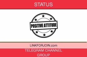 Status Telegram Channel & Group