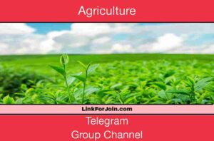 Agriculture Telegram Group & Channel