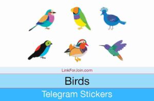 Birds Telegram Stickers